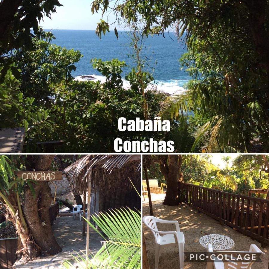 Donde Mira El Sol, Promo Primavera Hasta 50 Por Ciento (Adults Only) Acapulco Zewnętrze zdjęcie